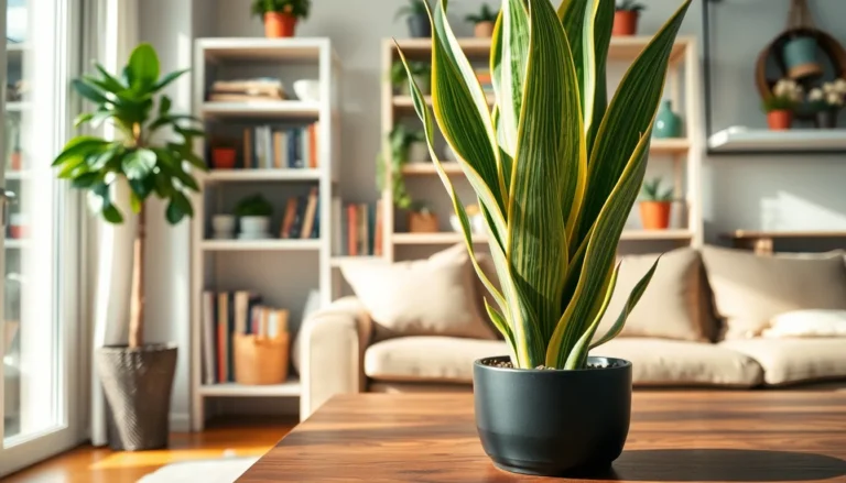 Plant Articles